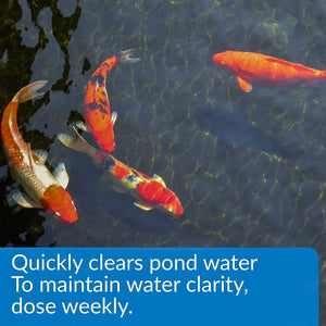 128 oz (2 x 64 oz) API Pond Accu-Clear Quickly Clears Pond Water