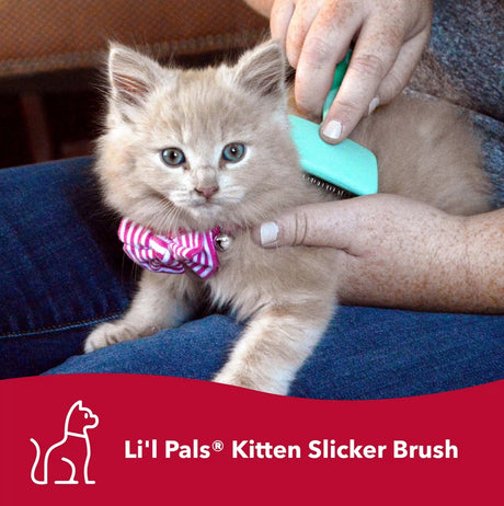 1 count Lil Pals Kitten Slicker Brush with Coated Tips