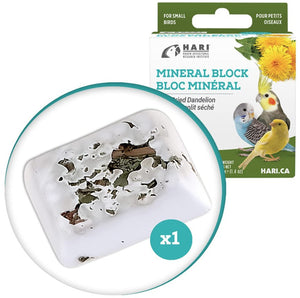 16.8 oz (12 x 1.4 oz) HARI Dandelion Mineral Block for Small Birds