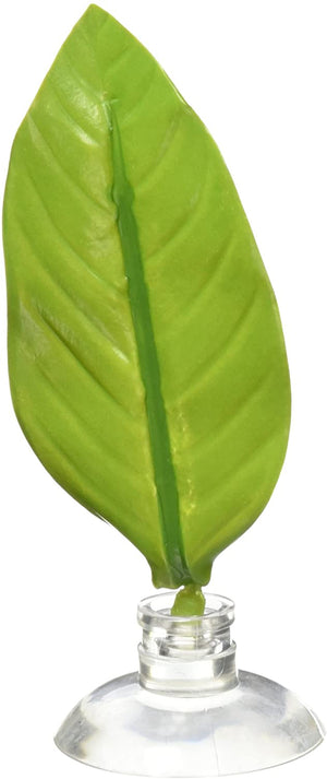 Medium - 12 count Zoo Med Betta Bed Leaf Hammock for Bettas to Rest On