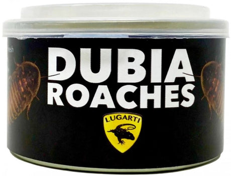 4.8 oz (4 x 1.2 oz) Lugarti Canned Dubia Roaches Treat for Insectivores