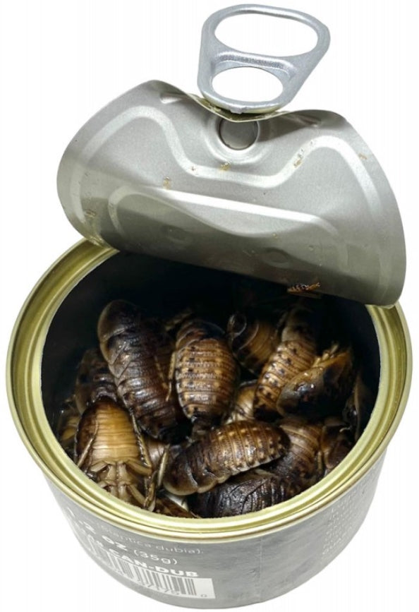 4.8 oz (4 x 1.2 oz) Lugarti Canned Dubia Roaches Treat for Insectivores