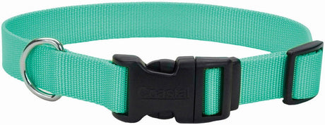 8-12"L x 3/8"W Coastal Pet Teal Nylon Adjustable Dog Collar with Plastic Buckle