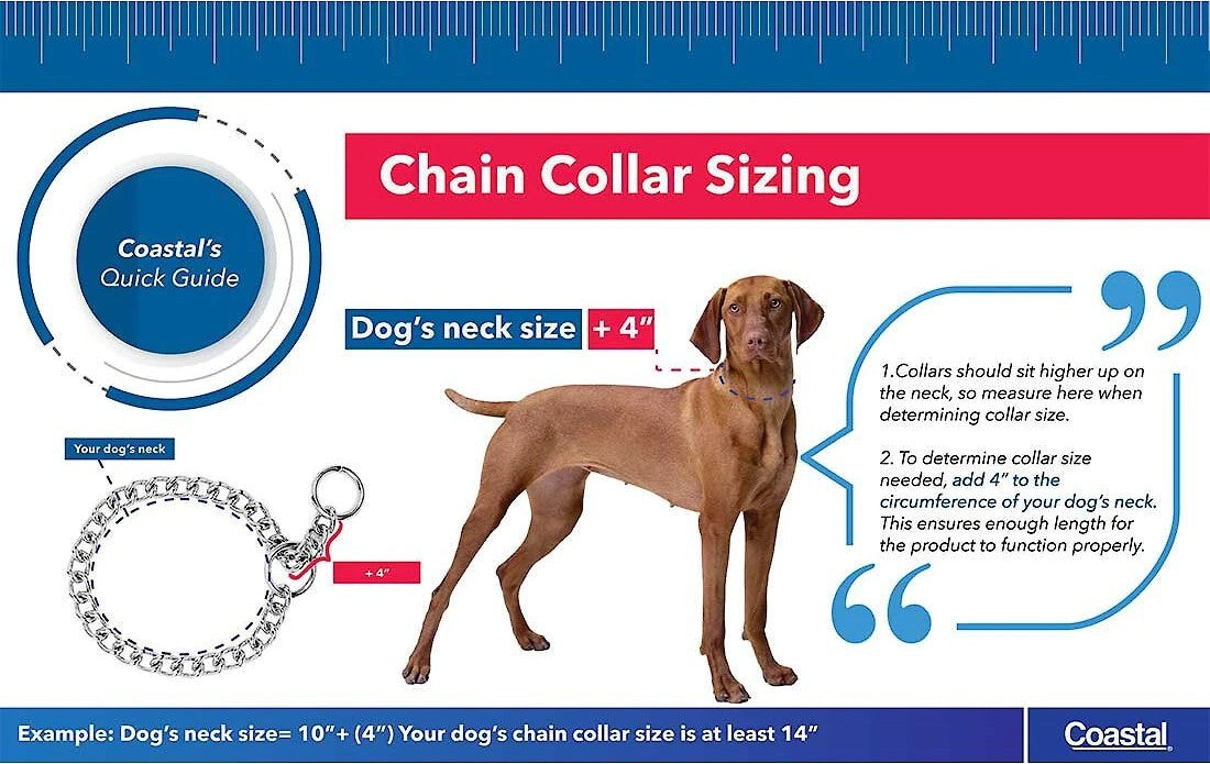 Coastal Pet Herm Sprenger Steel Slip Training Dog Collar 2.5mm - PetMountain.com