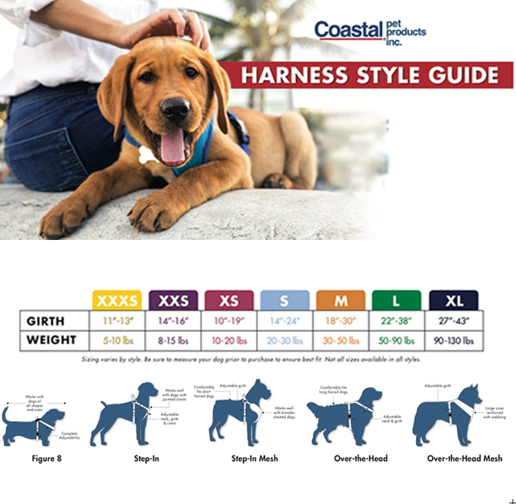 Medium - 1 count Coastal Pet Accent Microfiber Dog Harness Boho Blue with Polka Dot Bow