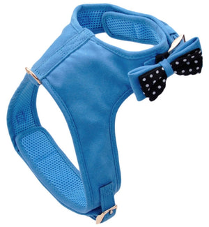 Coastal Pet Accent Microfiber Dog Harness Boho Blue with Polka Dot Bow - PetMountain.com
