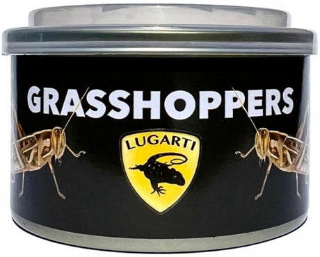 4.8 oz (4 x 1.2 oz) Lugarti Canned Grasshoppers Treat for Insectivores