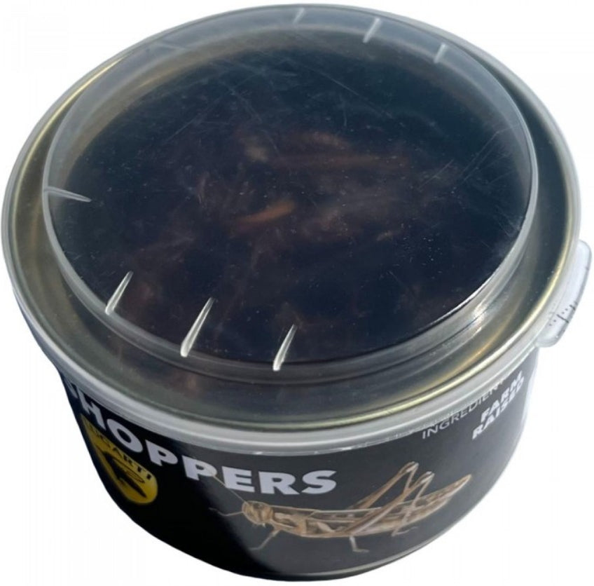 1.2 oz Lugarti Canned Grasshoppers Treat for Insectivores