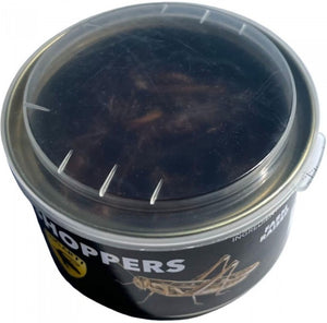 1.2 oz Lugarti Canned Grasshoppers Treat for Insectivores
