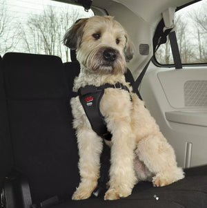X-Large - 1 count Coastal Pet Easy Ride Adjustable Dog Car Harness