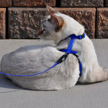 X-Small - 1 count Coastal Pet Figure H Adjustable Cat Harness Pink
