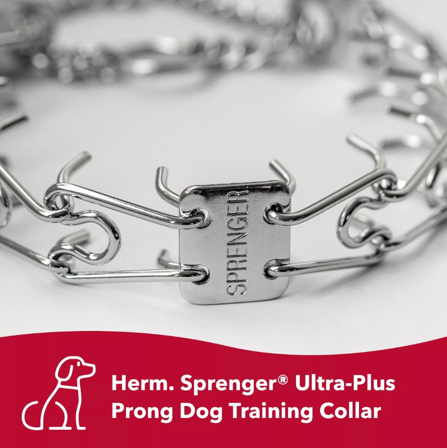 16"L x 2.25 mm Coastal Pet Herm Sprenger Pinch Dog Collar