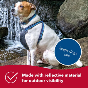 Large - 1 count Coastal Pet K9 Explorer Reflective Adjustable Padded Dog Harness Sapphire Blue