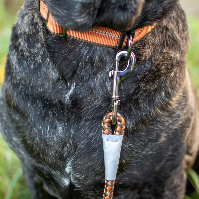6 feet x 1/2"W Coastal Pet K9 Explorer Reflective Braided Rope Dog Leash Sapphire