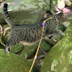 8-12"L x 3/8"W Coastal Pet Lazer Brite Reflective Adjustable Breakaway Cat Collar Red Bubbles