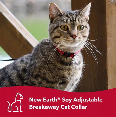 8-12"L x 3/8"W Coastal Pet New Earth Soy Breakaway Cat Collar Indigo