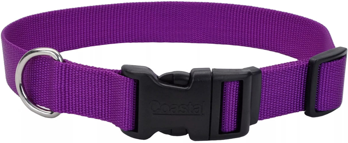 18-26"L x 1" W Coastal Pet Nylon Dog Collar Purple