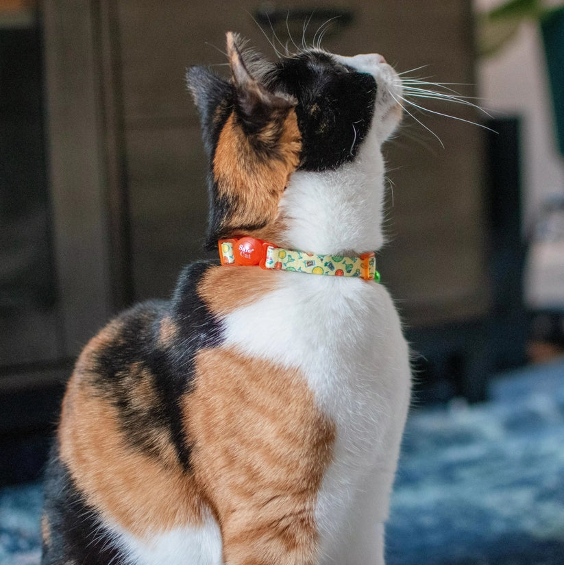 8-12"L x 3/8"W Coastal Pet Safe Cat Adjustable Breakaway Collar Sushi