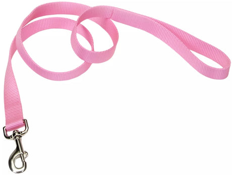 6 feet x 5/8"W Coastal Pet Single-Ply Nylon Dog Leash Bright Pink