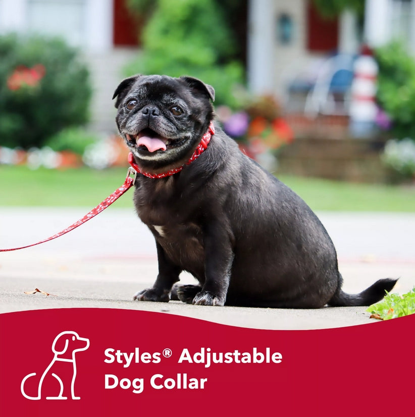 10-14"L x 5/8"W Coastal Pet Styles Adjustable Dog Collar Black Bones