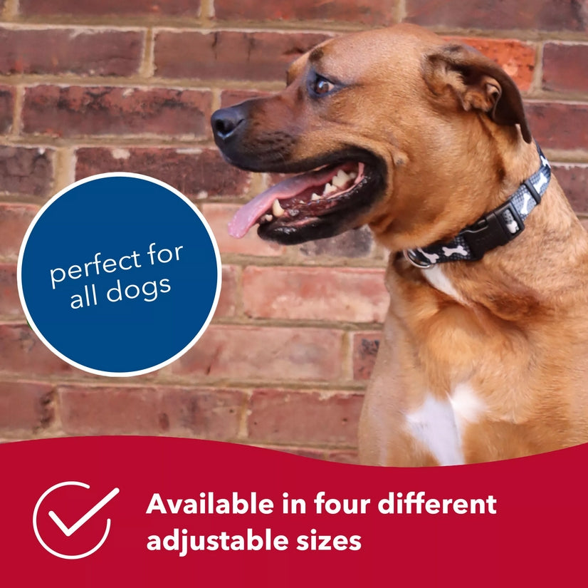 14-20"L x 3/4"W Coastal Pet Styles Adjustable Dog Collar Pink Dots