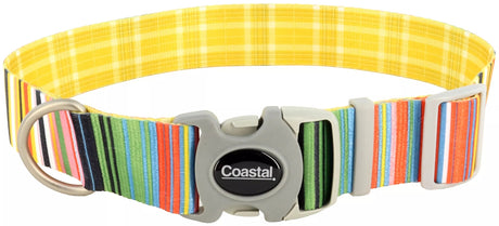 18-26"L x 1.5"W Coastal Pet Sublime Adjustable Dog Collar Gold Stripes