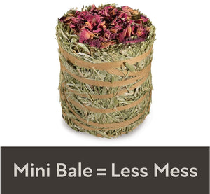 3.5 oz Kaytee Field and Forest Mini Hay Bale Apple and Rose