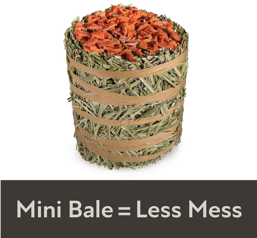 3.5 oz Kaytee Field and Forest Mini Hay Bale Carrot and Marigold