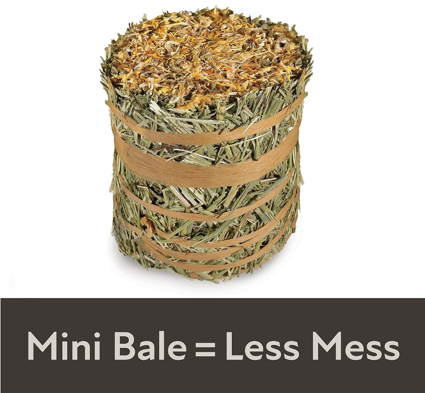21 oz (6 x 3.5 oz) Kaytee Field and Forest Mini Hay Bale Marigold