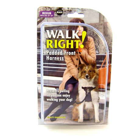 Medium - 1 count Coastal Pet Walk Right Padded Dog Harness Black