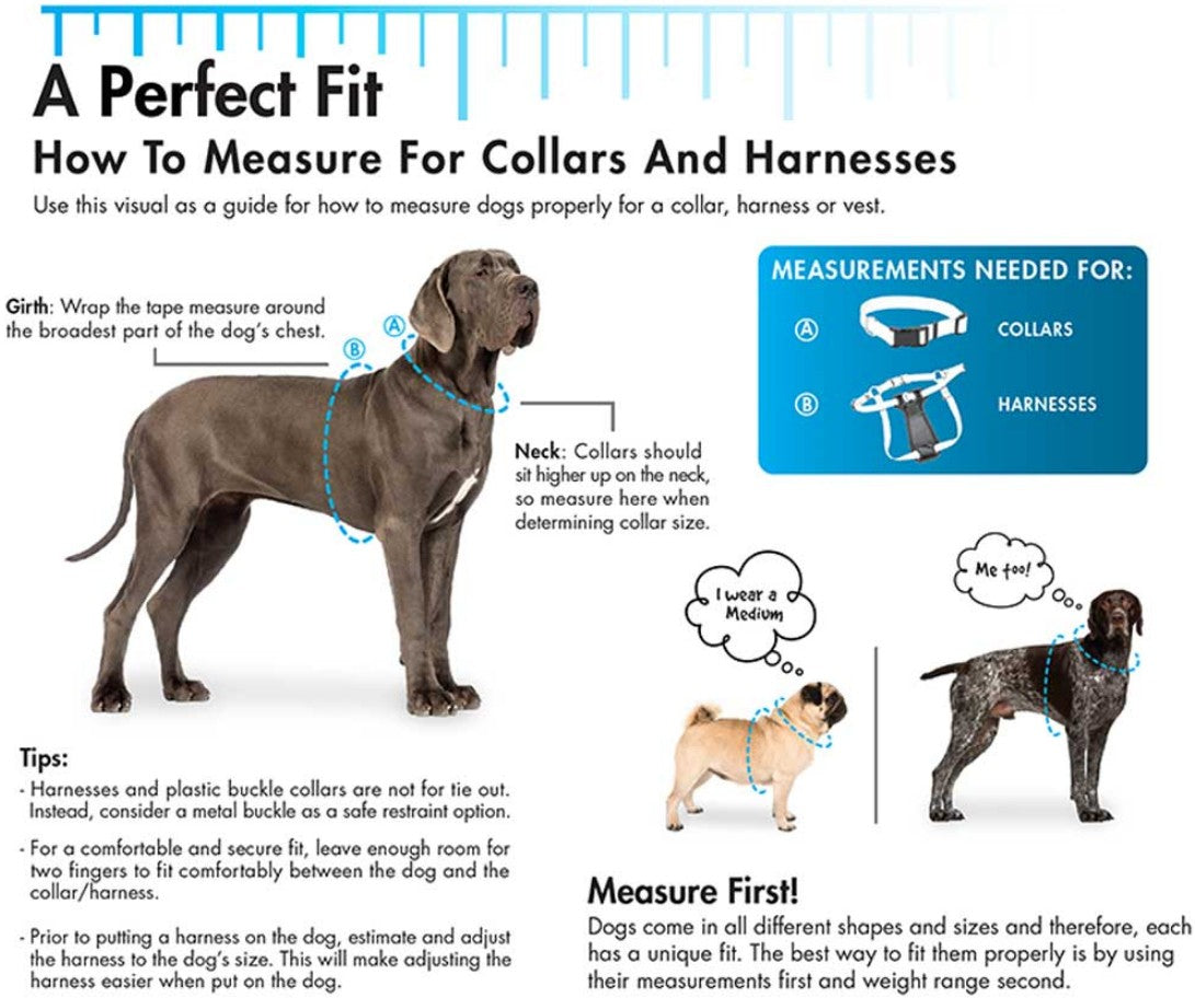 Coastal Pet Styles Adjustable Dog Collar Special Paw Brown - PetMountain.com