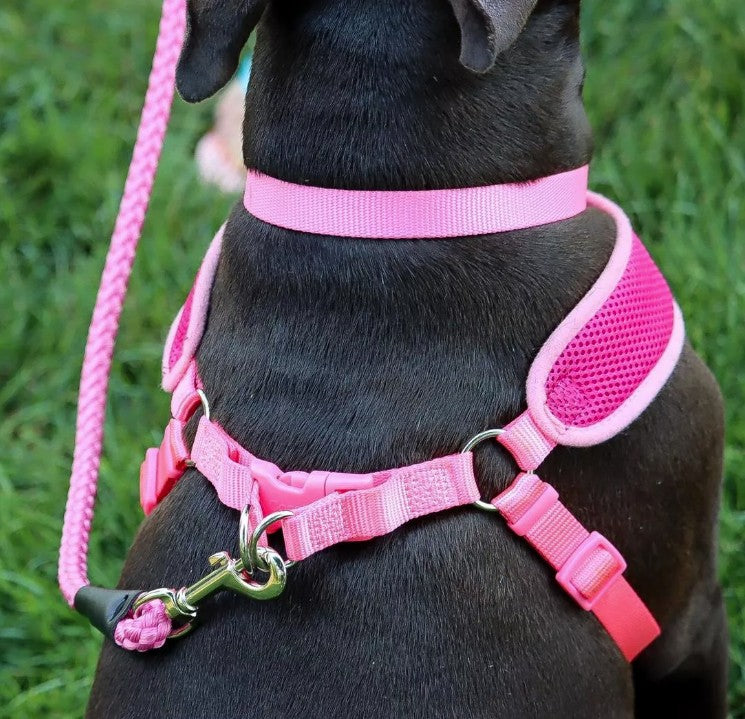 Coastal Pet Comfort Soft Wrap Adjustable Dog Harness Orchid - PetMountain.com