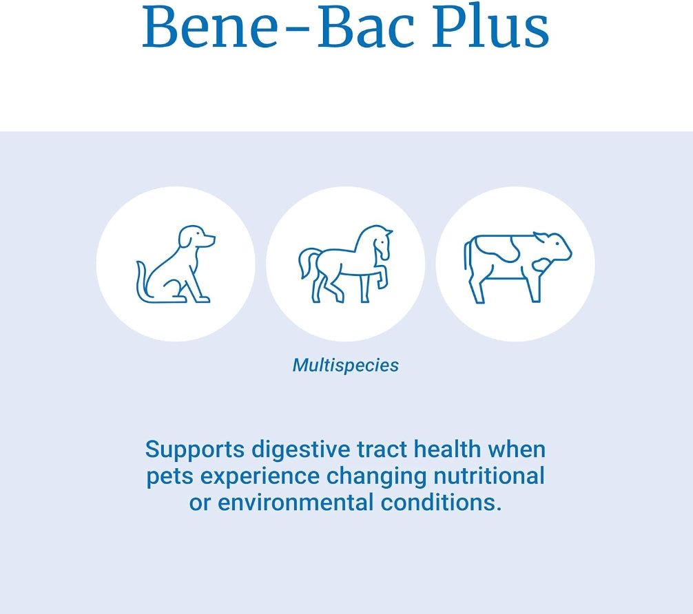 90 gm (6 x 15 gm) PetAg Bene-Bac Plus FOS & Probiotics Pet Gel