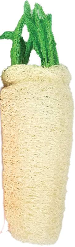 AE Cage Company Nibbles Daikon Loofah Chew Toy Large