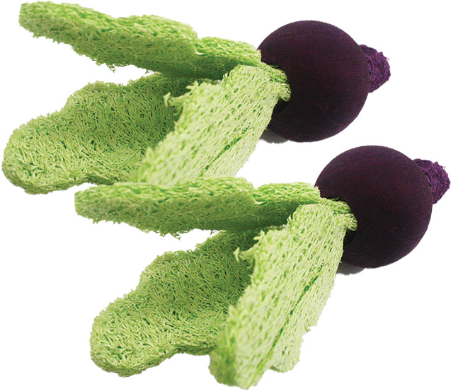 AE Cage Company Nibbles Turnip Loofah Chew Toys with Wood - PetMountain.com