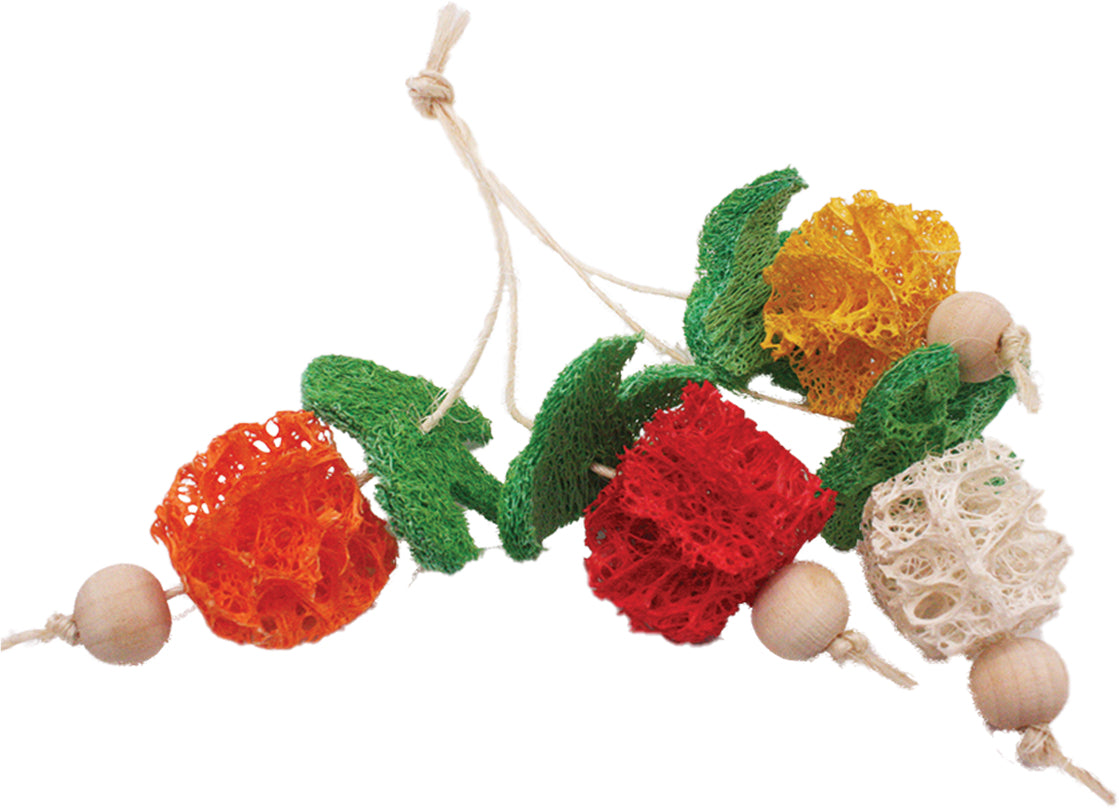 AE Cage Company Nibbles Fruit Bunch Loofah Chew Toy - PetMountain.com