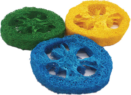 3 count AE Cage Company Nibbles Loofah Slice Chew