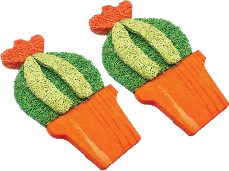 2 count AE Cage Company Nibbles Barrel Cactus Loofah Chew Toy with Wood