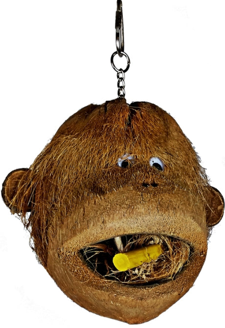 1 count AE Cage Company Java Wood Coco Monkey Head for Birds