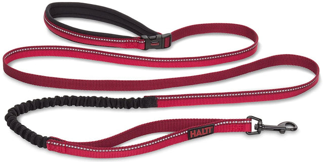Small - 1 count Company of Animals Halti All In One Lead for Dogs Red