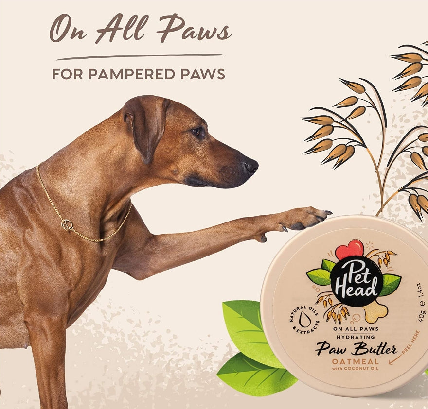 Pet Head Hydrating Paw Butter for Dogs Oatmeal with Coconut Oil - PetMountain.com
