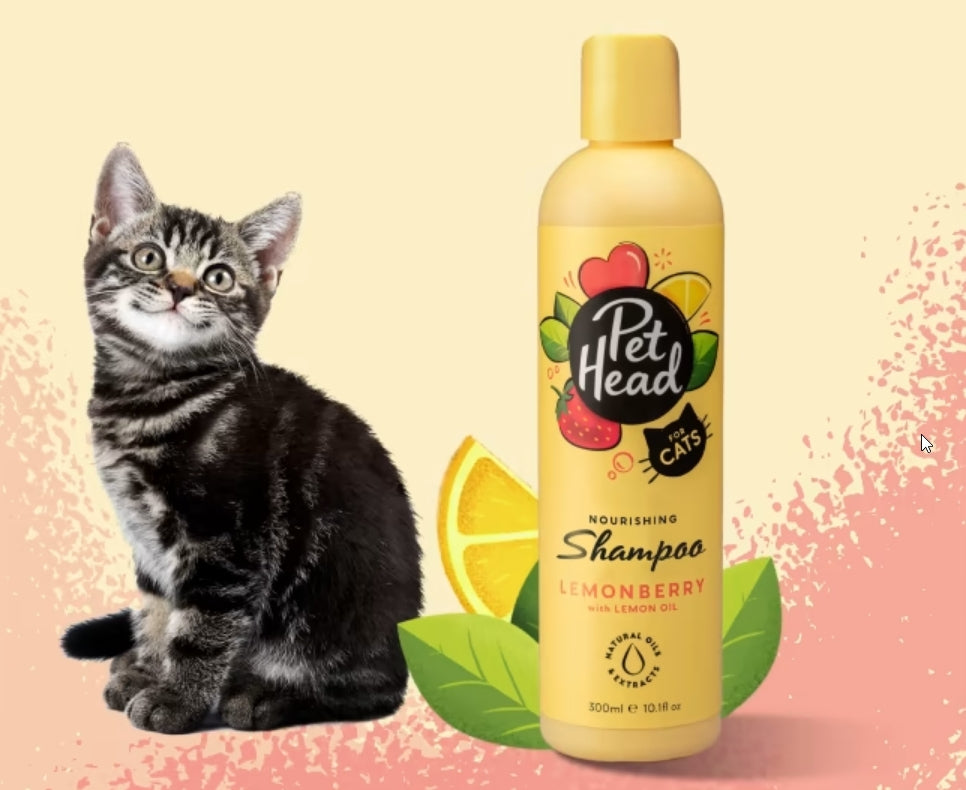 Pet Head Nourishing Shampoo for Cats Lemonberry with Lemon Oil - PetMountain.com