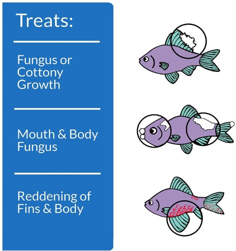 8 oz API Pimafix Treats Fungal Infections for Freshwater and Saltwater Fish