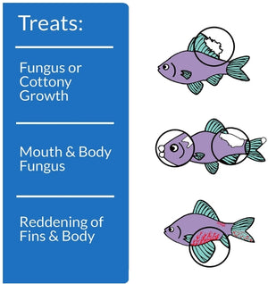 16 oz API Pimafix Treats Fungal Infections for Freshwater and Saltwater Fish