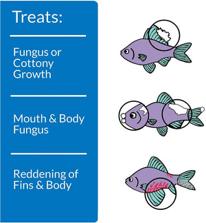 64 oz API Pimafix Treats Fungal Infections for Freshwater and Saltwater Fish