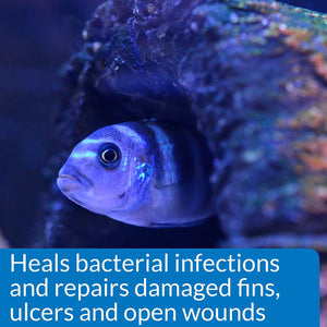 4 oz API MelaFix Treats Bacterial Infections for Freshwater and Saltwater Aquarium Fish