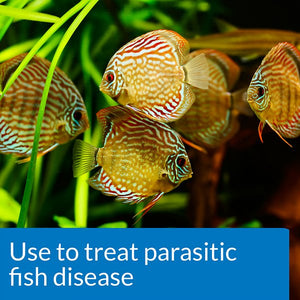 850 gram API General Cure Powder Treats Parasitic Fish Disease