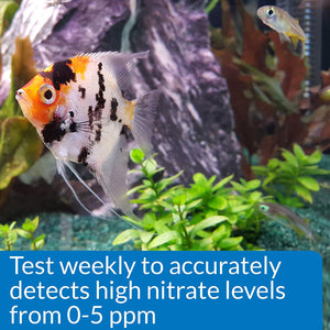 API Nitrite NO2 Test Kit Helps Prevent Fish Loss in Freshwater and Saltwater Aquariums - PetMountain.com