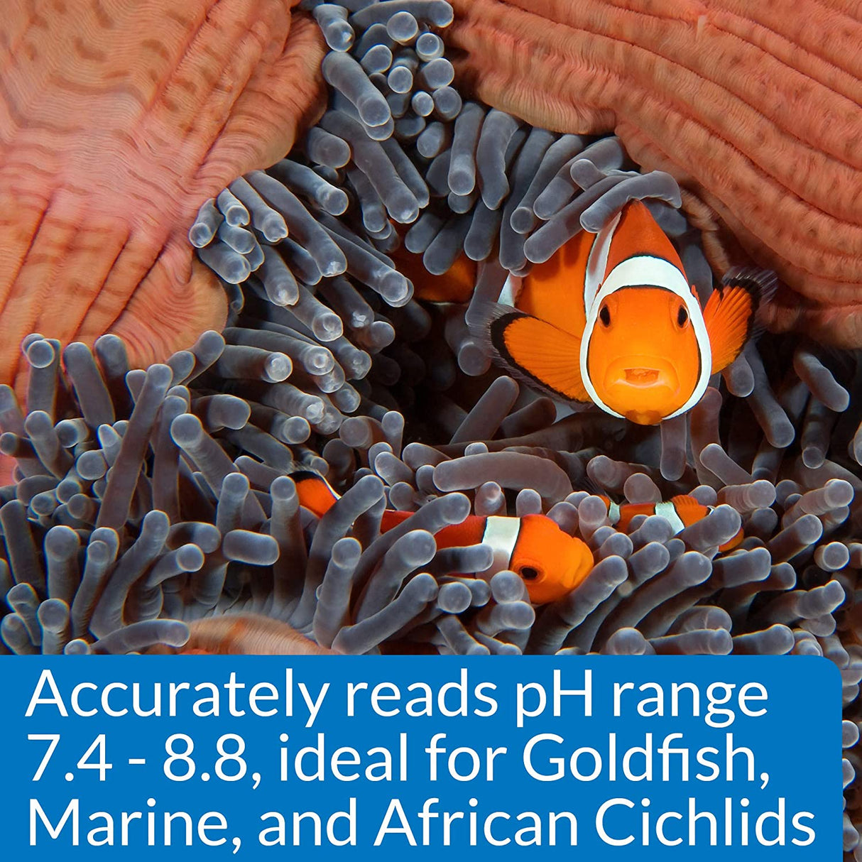 1 count API High Range pH Test Kit for Goldfish, Marine and African Cichlids