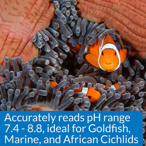 3 count API High Range pH Test Kit for Goldfish, Marine and African Cichlids